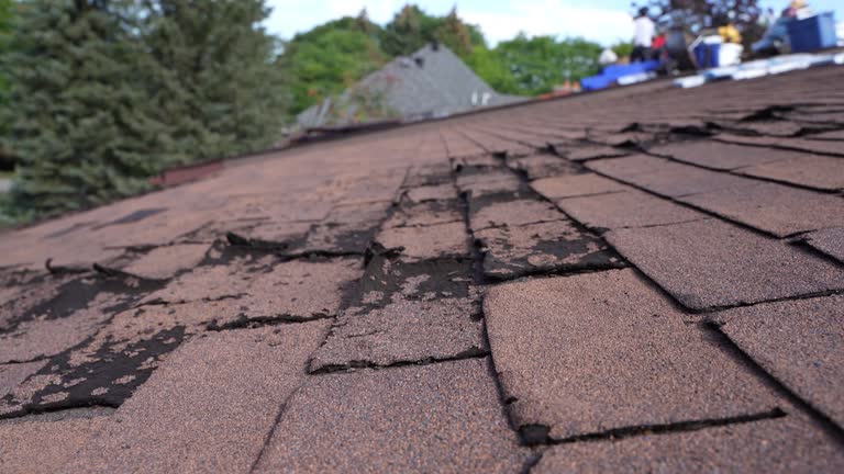 Best Rubber Roofing (EPDM, TPO)  in Heber, CA